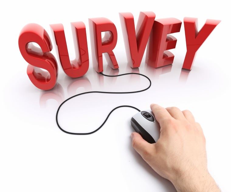  Notice of a Survey below